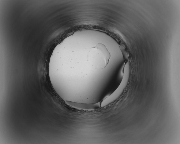 X0000094921064200712271528