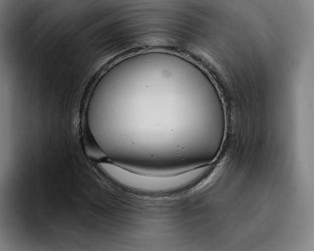 X0000094921065200712271528