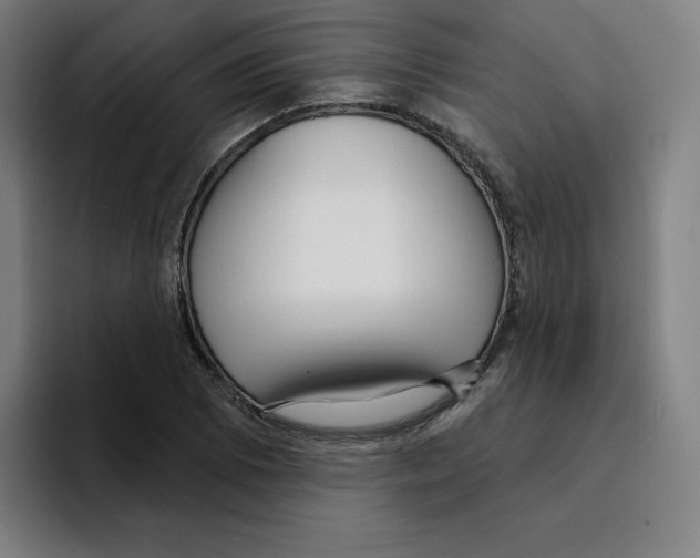 X0000094921073200712271528
