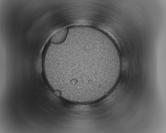 X0000094921075200712271528