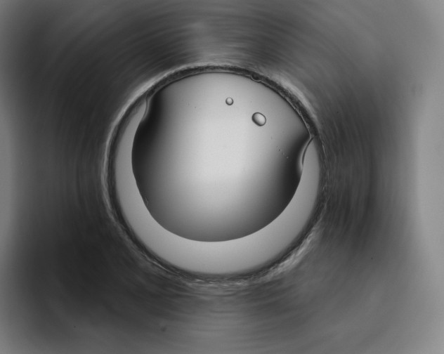 X0000094921077200712271528