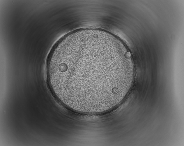 X0000094921079200712271528