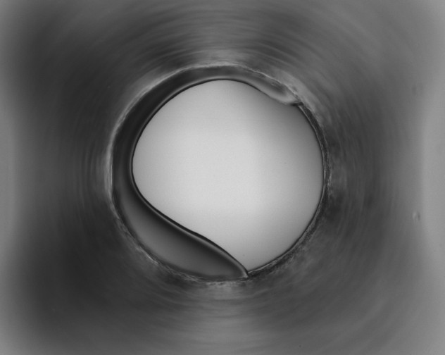 X0000094921080200712271528