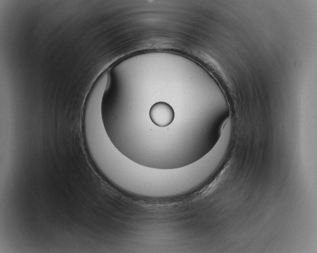 X0000094921081200712271528