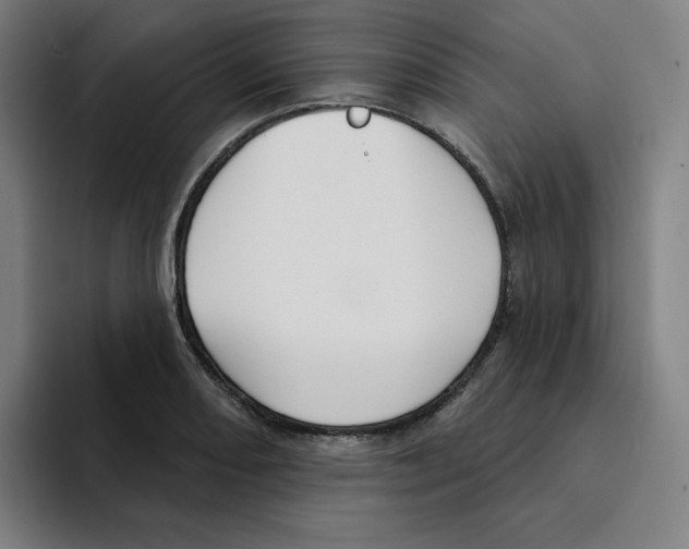 X0000094921082200712271528