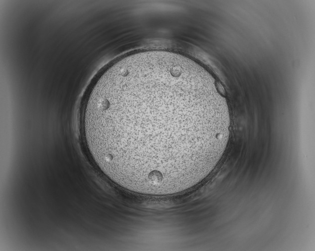 X0000094921083200712271528