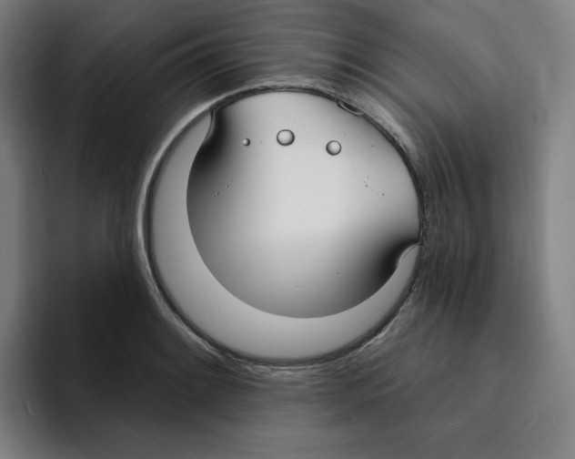 X0000094921084200712271528
