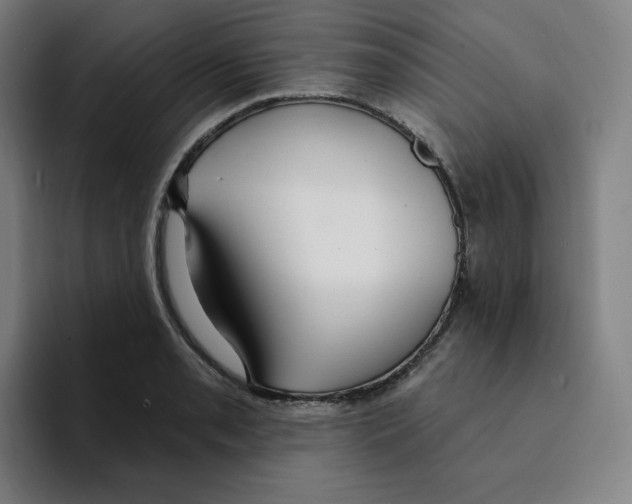 X0000094921085200712271528
