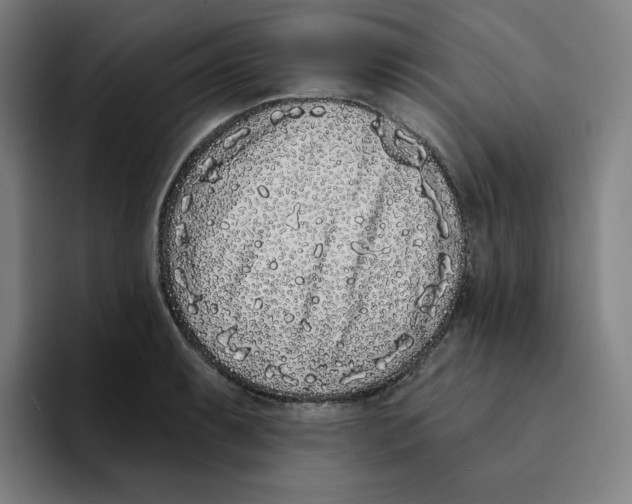 X0000094921087200712271528