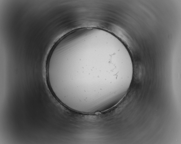 X0000094921088200712271528