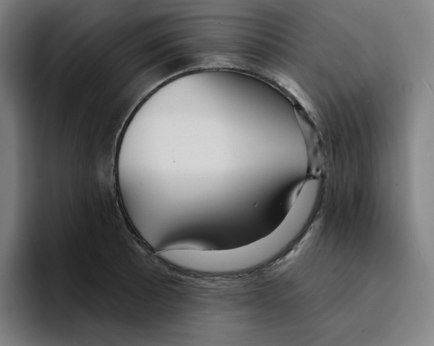 X0000094921089200712271528