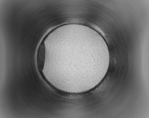 X0000094921091200712271528