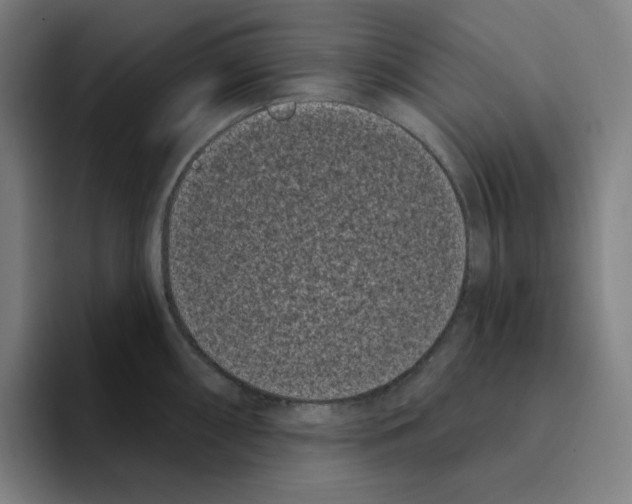 X0000094921098200712271528
