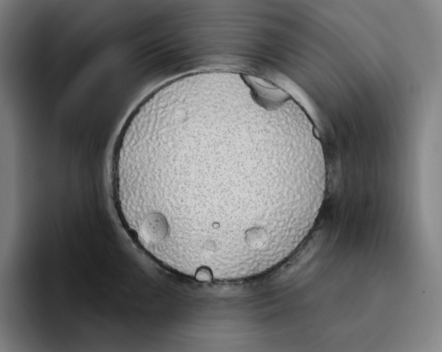 X0000094921099200712271528