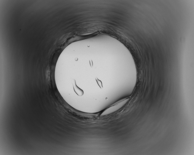X0000094921108200712271527