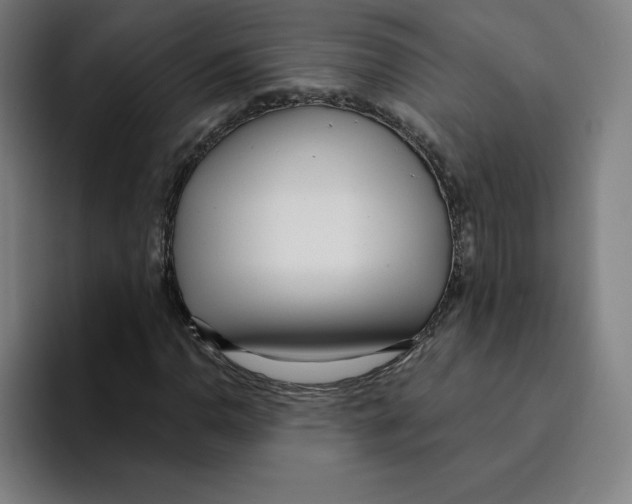 X0000094921110200712271527