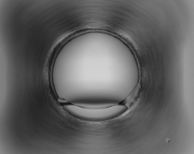 X0000094921114200712271527