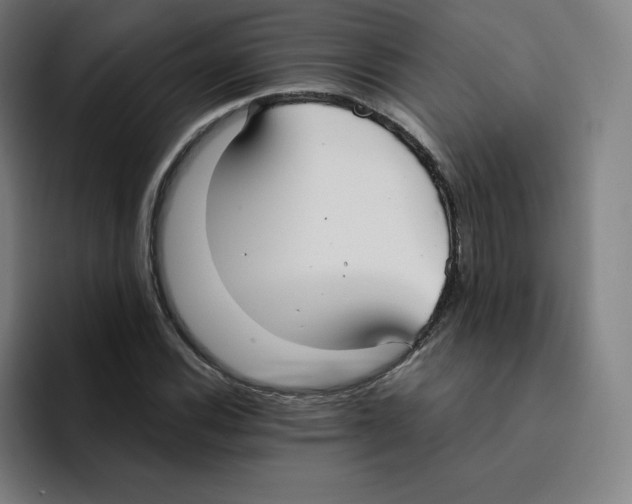 X0000094921116200712271527