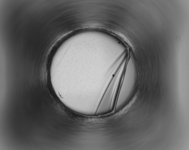 X0000094921117200712271527