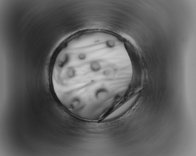 X0000094921120200712271527