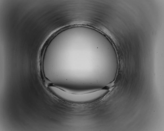 X0000094921124200712271527