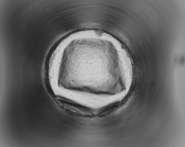 X0000094921125200712271527