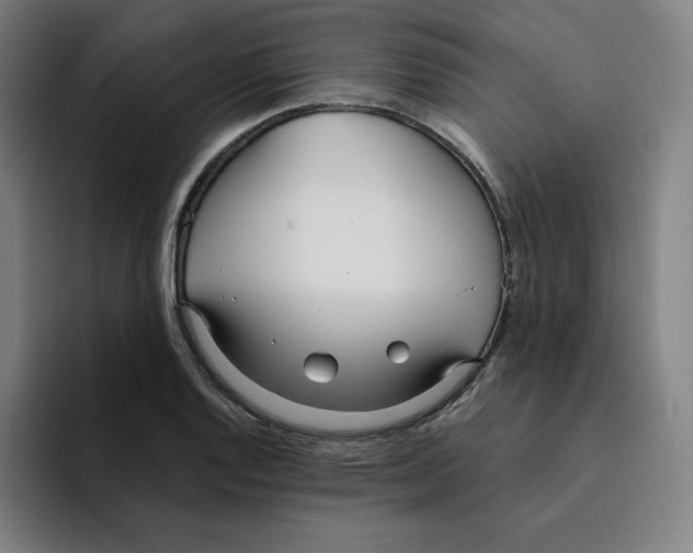 X0000094921128200712271527