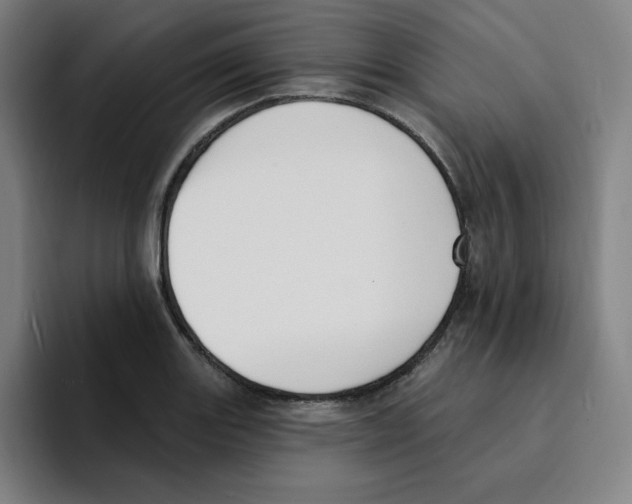 X0000094921131200712271527