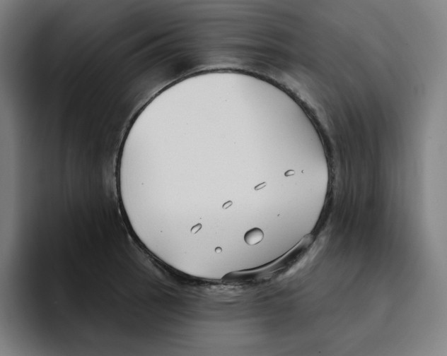 X0000094921137200712271527