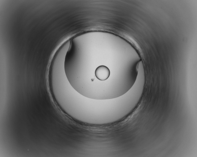 X0000094921138200712271527