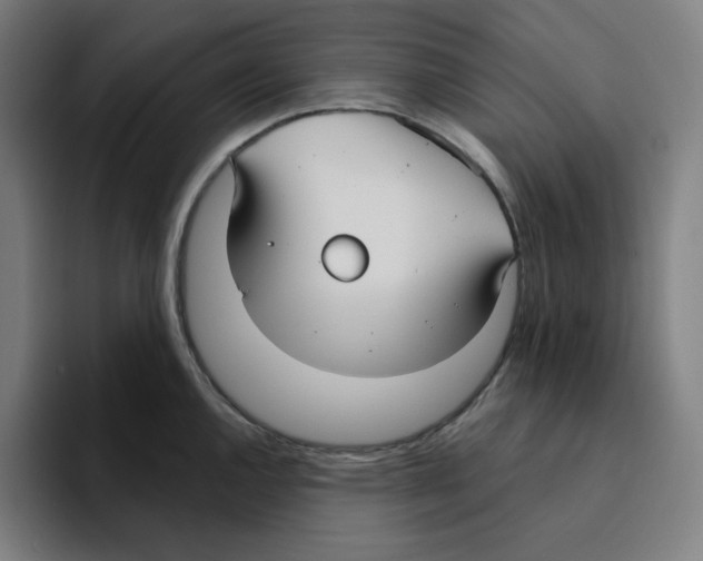 X0000094921144200712271527