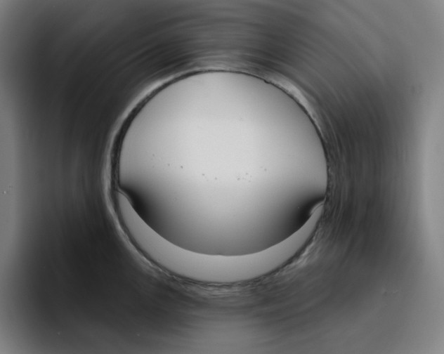 X0000094921147200712271527