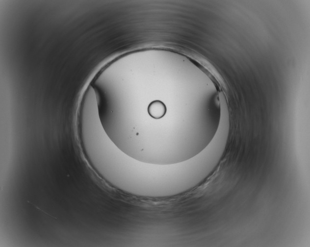 X0000094921148200712271527