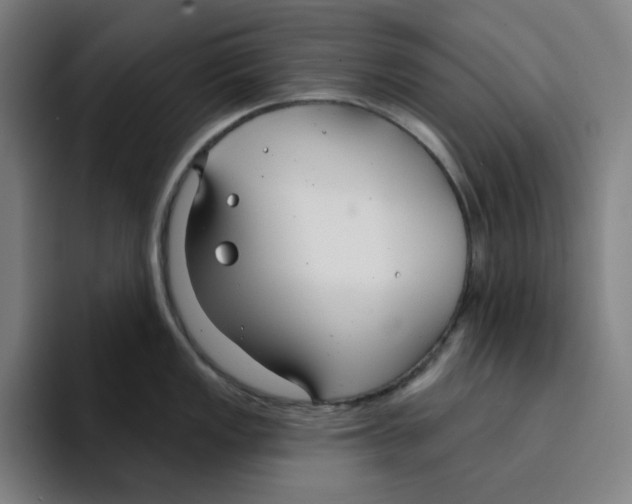 X0000094921149200712271527