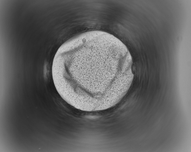 X0000094921154200712271527