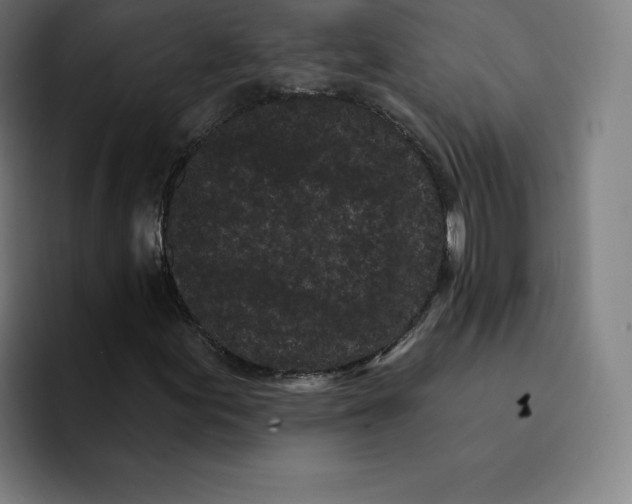 X0000094921155200712271527