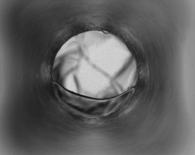 X0000094921156200712271527