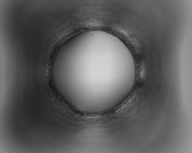 X0000094921157200712271527