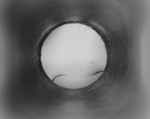 X0000094921160200712271527