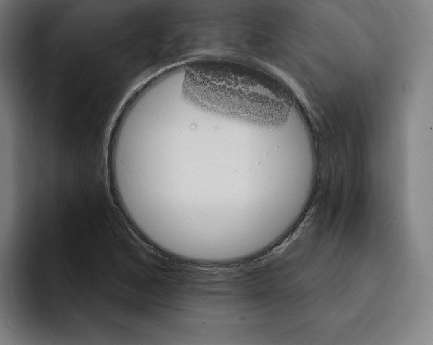 X0000094921168200712271527
