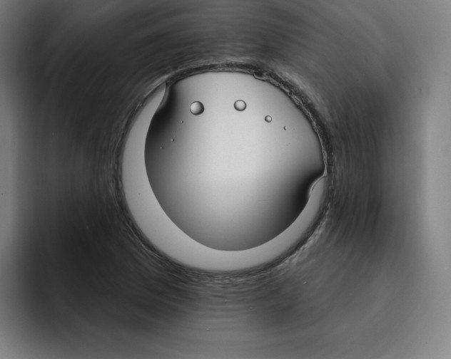 X0000094921169200712271527