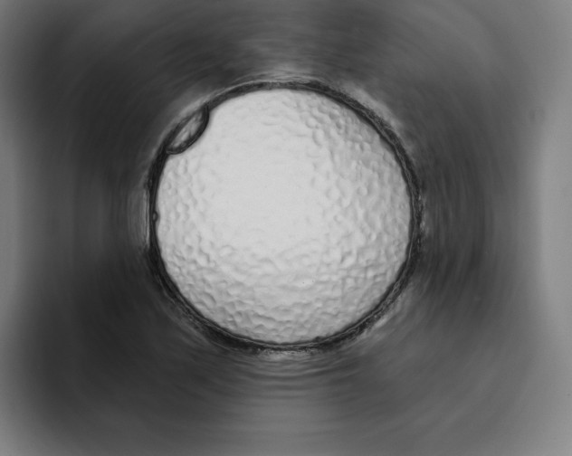 X0000094921171200712271527