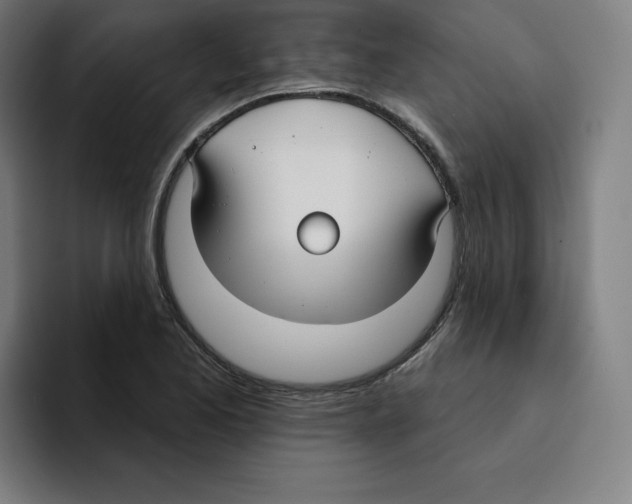 X0000094921173200712271527