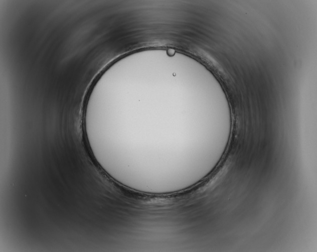 X0000094921178200712271527