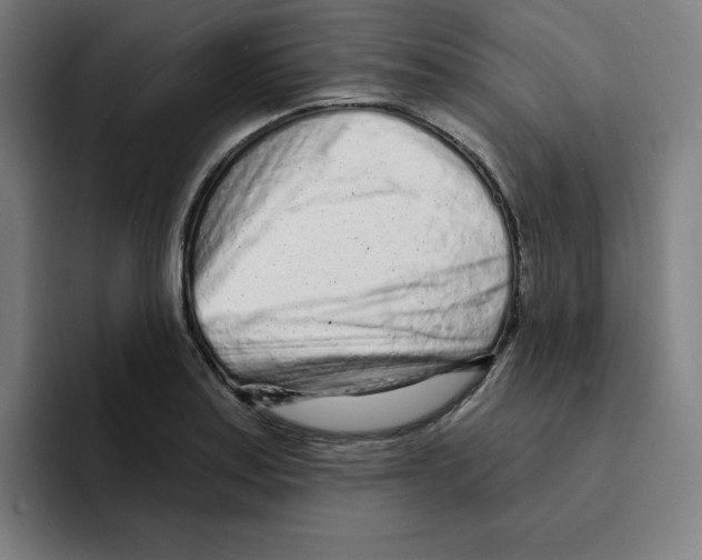 X0000094921179200712271526