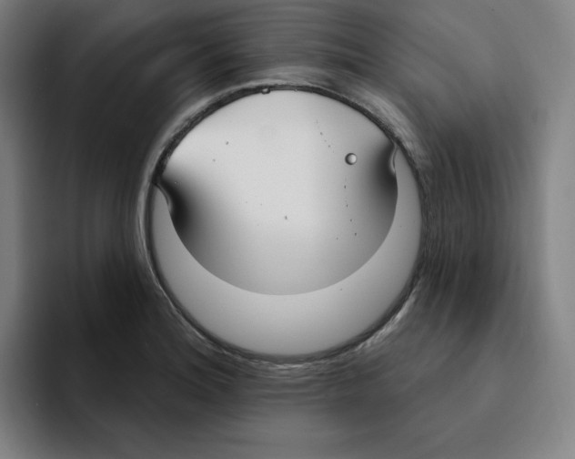 X0000094921180200712271526