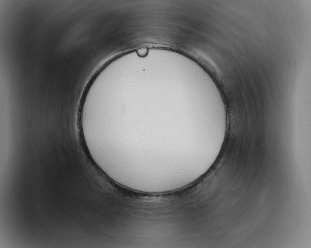 X0000094921182200712271526