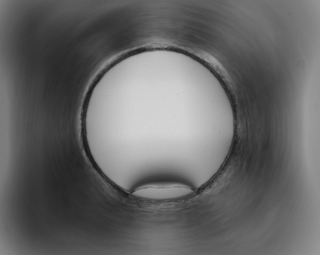 X0000094921183200712271526