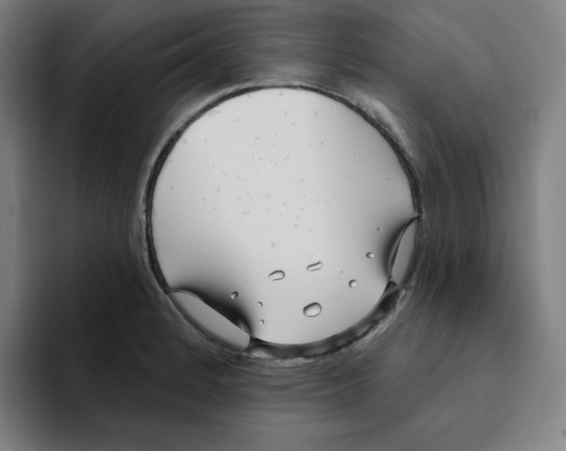 X0000094921184200712271526