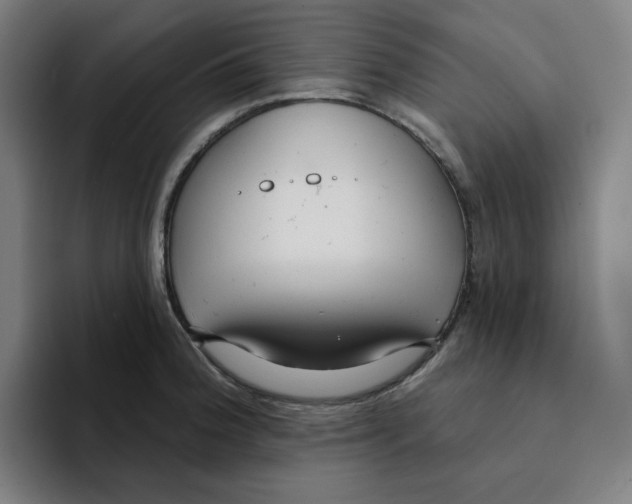 X0000094921188200712271526